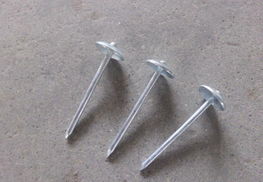 高密瓦楞釘廠 提供優(yōu)質(zhì)產(chǎn)品與定制化服務(wù)的一站式解決方案